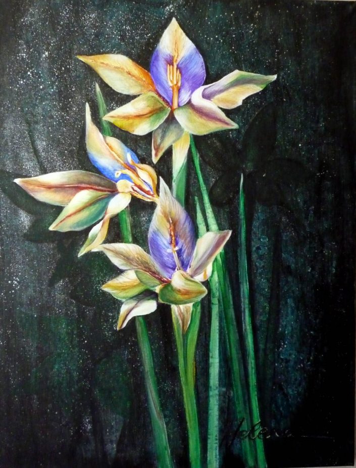 A painting of stone lillies