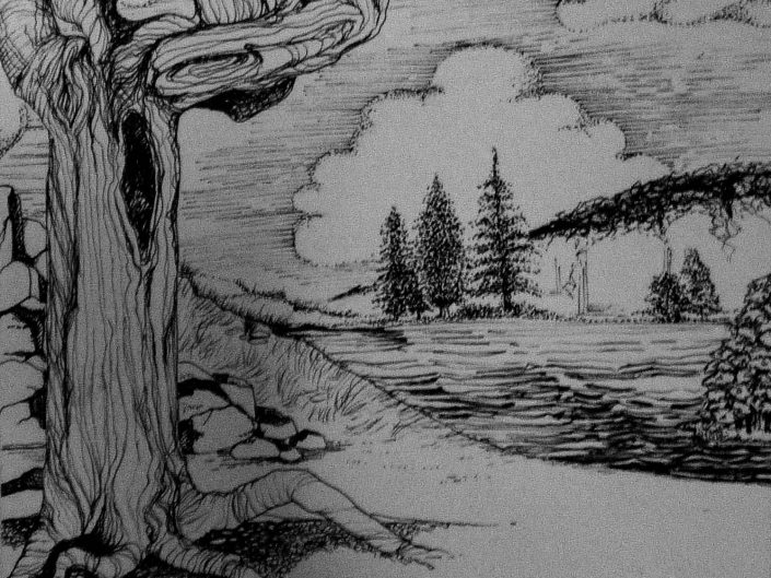 A sketch of a forest