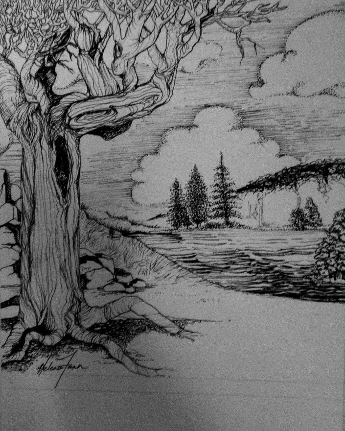 A sketch of a forest