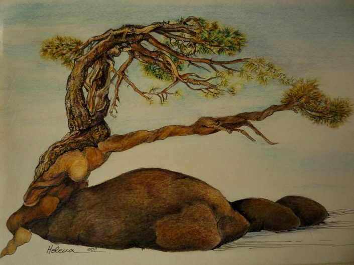 A sketch of nature
