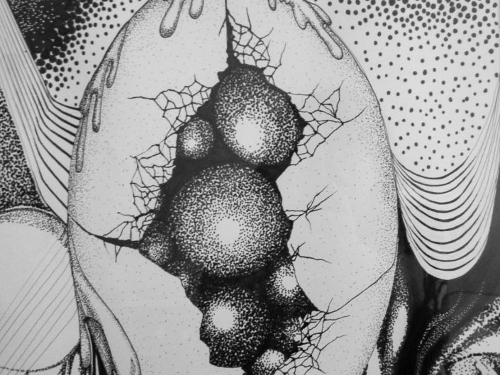 A sketch of an egg